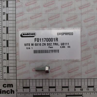 VITE M6x1x16 FLANGIATA - GASPARDO - F01170001R