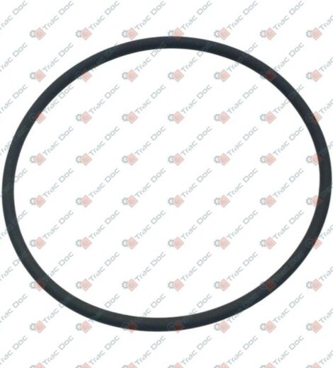 ANELLO OR 3231 - 141 FPM - LANDINI - 238-7141
