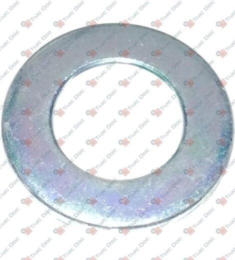 FLAT WASHER - LANDINI - 3301691M1