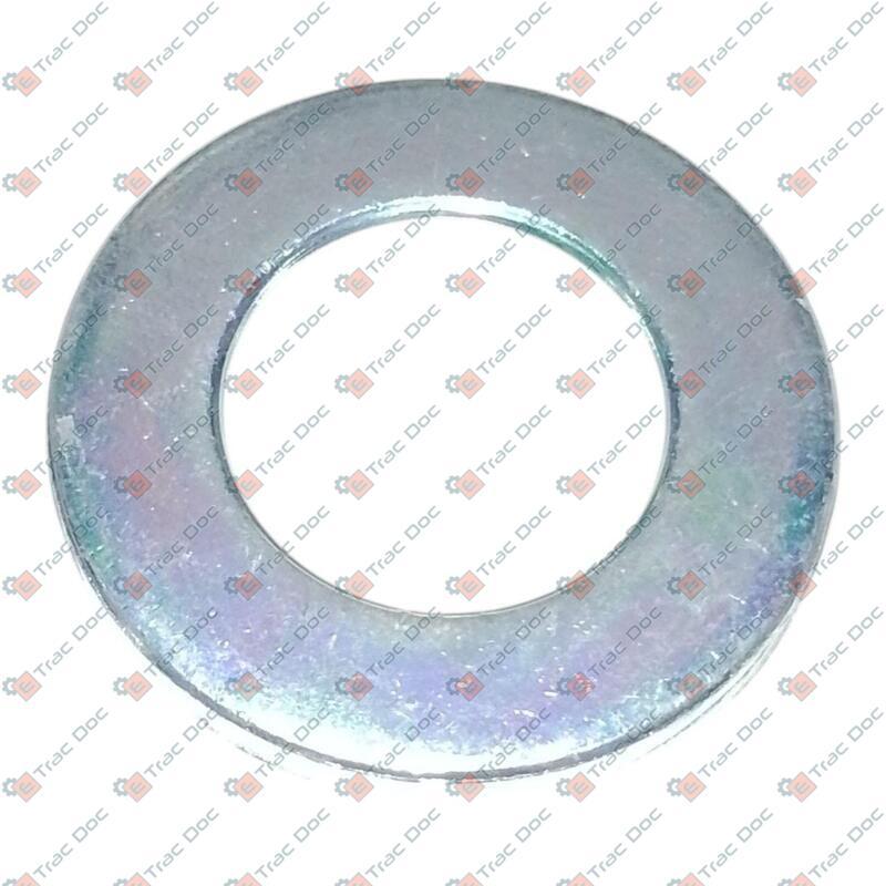 FLAT WASHER - LANDINI - 3301691M1