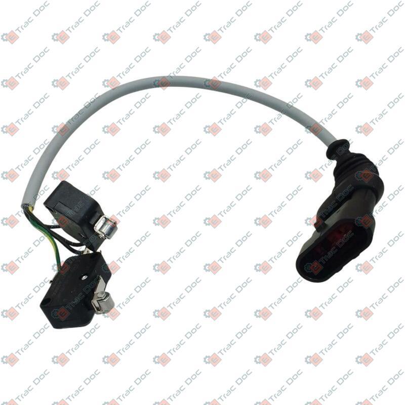 COPPIA INTERRUTTORI LEVE TRAZIONE ANTERIORE E PARK-LOCK - LANDINI - 3673374M91