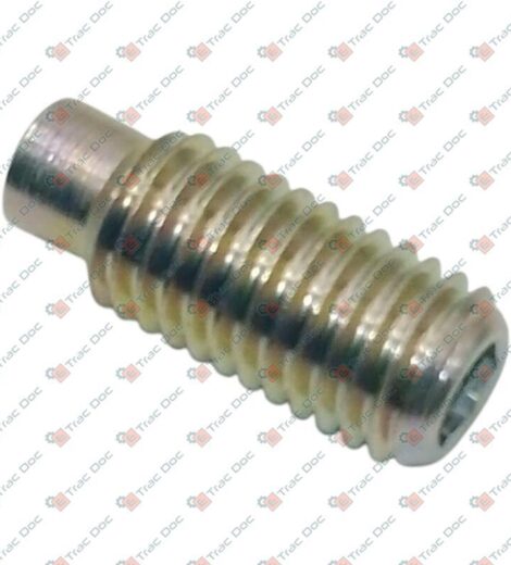 THREADED GUTTER FOR FIXING THE UPPER AXLE OF THE LIFTER - LANDINI - 395588X1