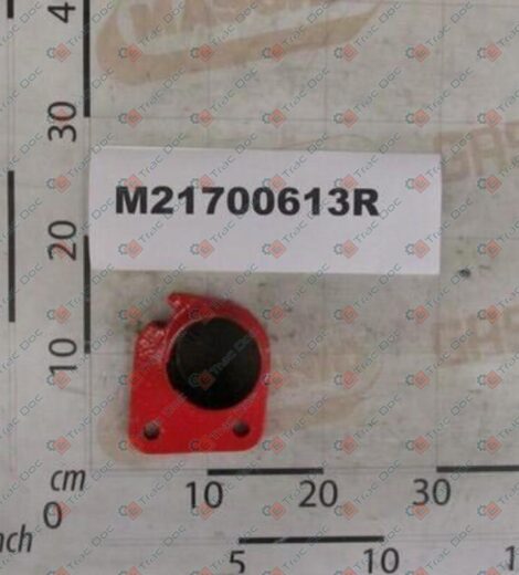 RIGHT SIDE ROLLER SUPPORT - MASCHIO - M21700613R