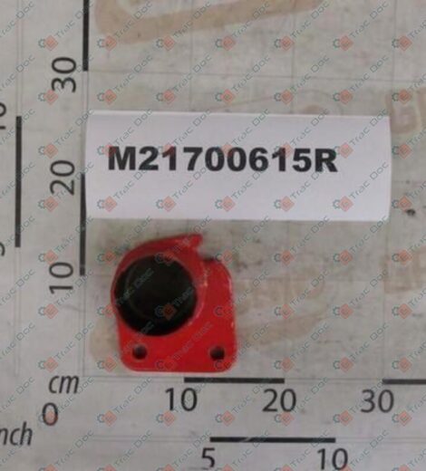LEFT SIDE ROLLER SUPPORT - MASCHIO - M21700615R