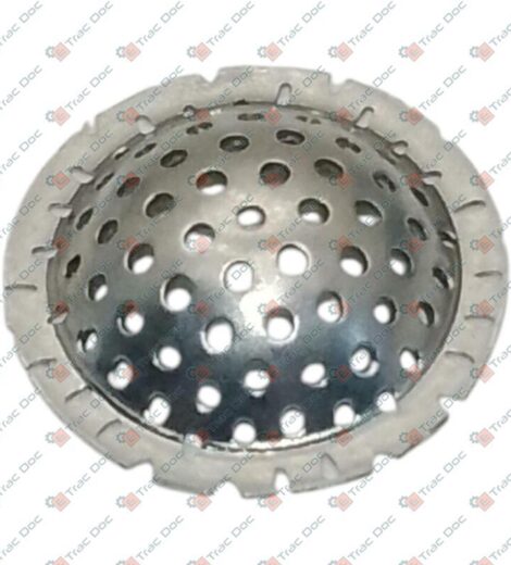 FILTRO INOX PER GETTO ATOMIZZATORE DIAMETRO 17 mm. - SABA AGRISERVICE GEST - 8005802