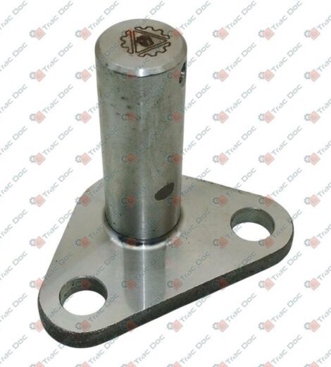 CENTRAL CLUTCH LEVER PIN - AFTERMARKET - 583319