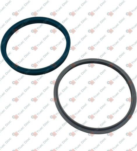 PAIR OF SEALING RINGS - Fendt - 3903655M91