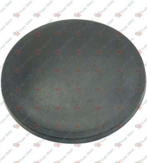 TAPPO DI CHIUSURA DIAMETRO 22 mm. - GOLDONI - 00017562