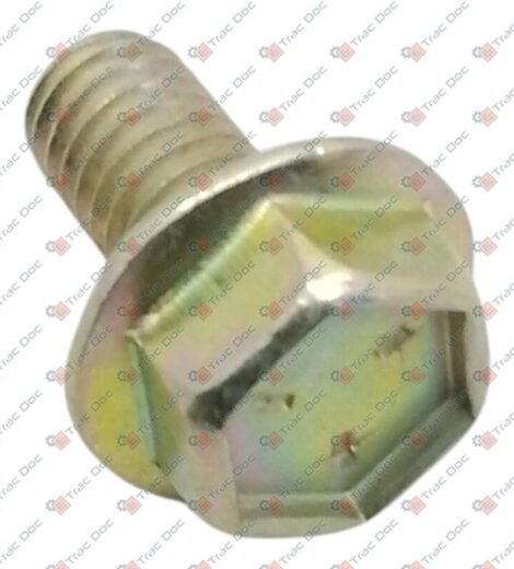 5/16" x 5/8" FLANGED INCH SCREW - LANDINI - 83949109