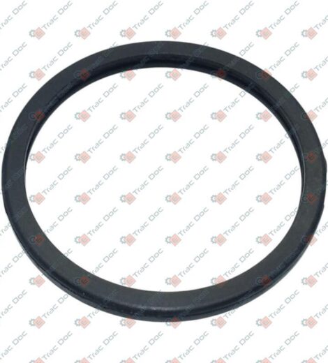 WATER THERMOSTAT SEAL TYPE FIAT 4823212 - 7307173 - AFTERMARKET - 00050524583
