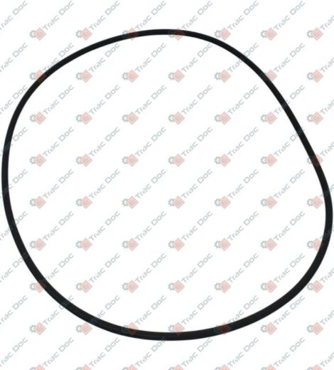 ANELLO OR IN VITON - AFTERMARKET - 00050651170