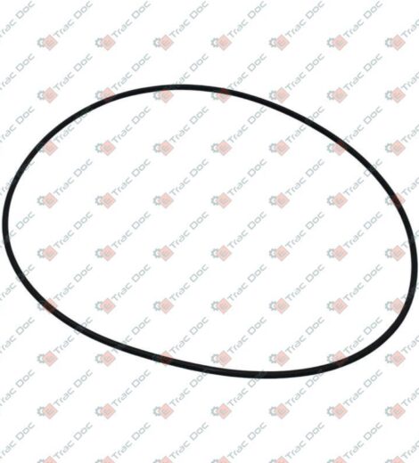 ANELLO OR IN VITON - AFTERMARKET - 00050889930