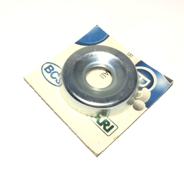 BCS56119617