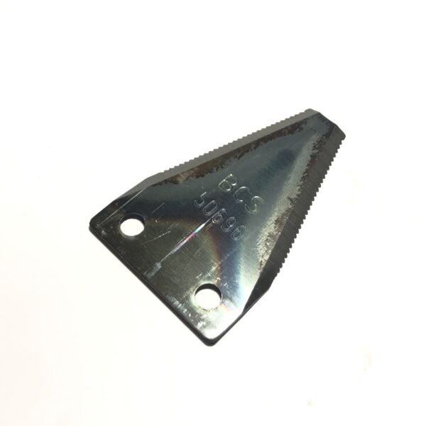 BCS56350696