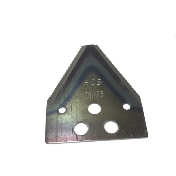 BCS58028096