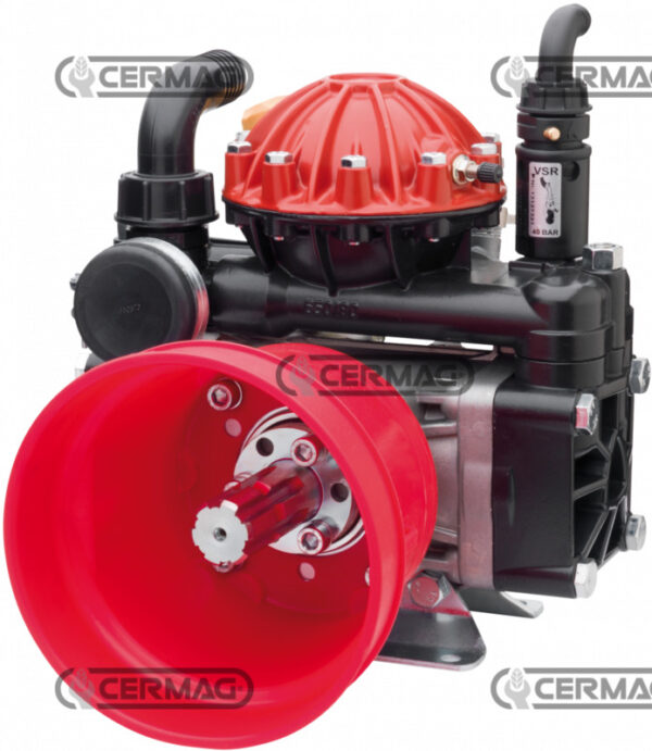 CER27281