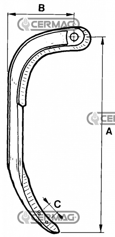CER55992