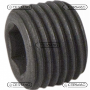 1/4" GAS THREAD CAP FOR CARRY OVER DISTRIBUTOR TYPE ML - CERMAG - 80026 - Image 2