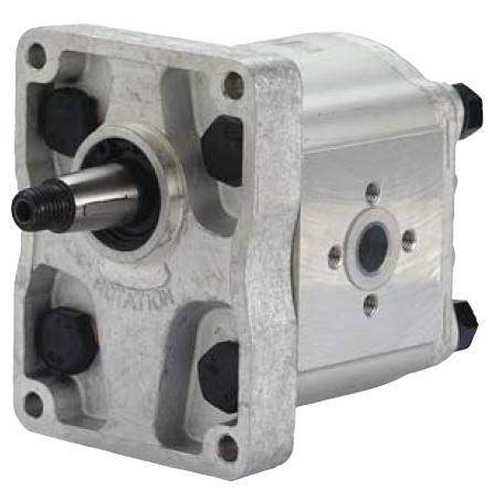 CER81565