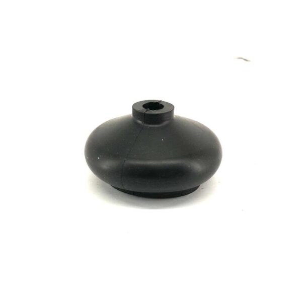 CP00000173