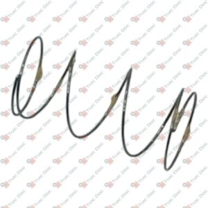 BRAKE PUMP BALL VALVE SPRING - AFTERMARKET - 4997678 - Image 1
