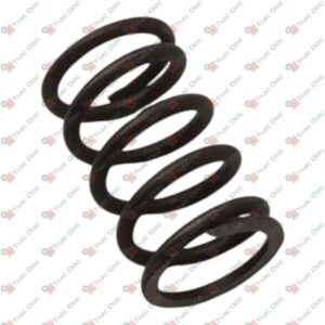 CLUTCH CONTROL FORK FULCRUM SPRING - ANTONIO CARRARO - 6209540 - Image 1