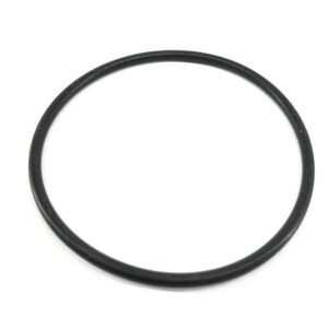 SEAL - CNH ORIGINALE - 3131928R1 - Image 1
