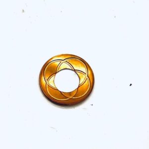 SPESSORE SATELLITE DIFFERENZIALE - CNH ORIGINALE - 4991658 - immagine 1