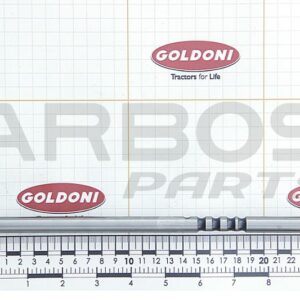 GEAR SELECTOR AUCTION - GOLDONI - 00000164 - Image 1