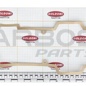 FRONT GEAR COVER GASKET - GOLDONI - 00001003 - Image 1