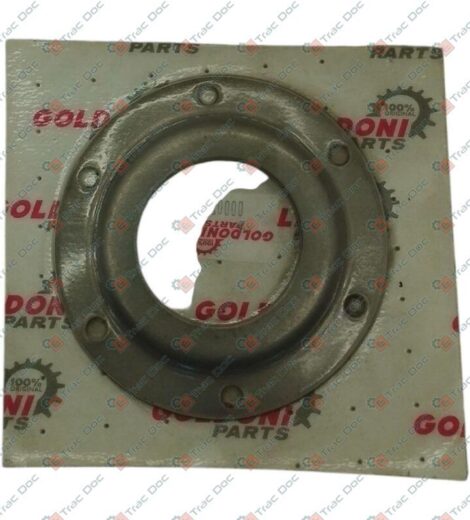 DUST RETAINING COVER - GOLDONI - 00007377