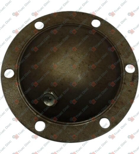 BEARING COVER - GOLDONI - 00008561