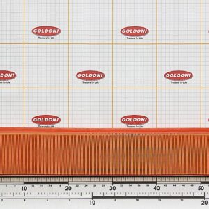 CAB AIR FILTER - GOLDONI - 00023337 - Image 1