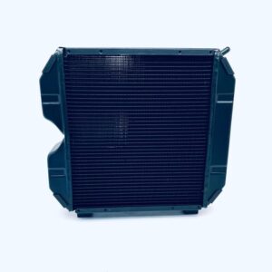 RADIATORE - GOLDONI - 00026252 - immagine 5