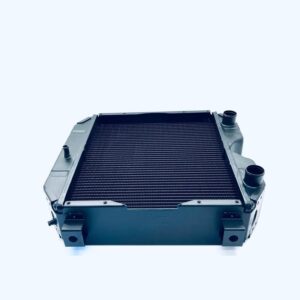 RADIATORE - GOLDONI - 00026252 - immagine 10