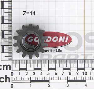 14-TOOTH REVERSE GEAR - GOLDONI - 00029507 - Image 1