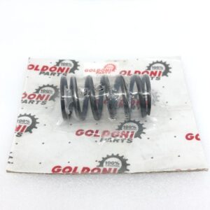 ITMA STEERING CLUTCH DRUM SPRING - GOLDONI - 00660042 - Image 1
