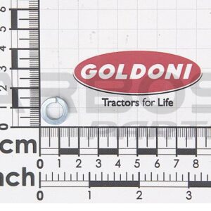 SPLIT WASHER 8 - GOLDONI - 06170012 - Image 1