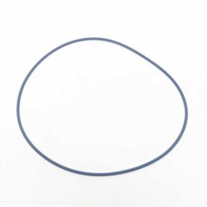 O-RING 2,62x158,43 VITON - GOLDONI - V0069282 - Image 2