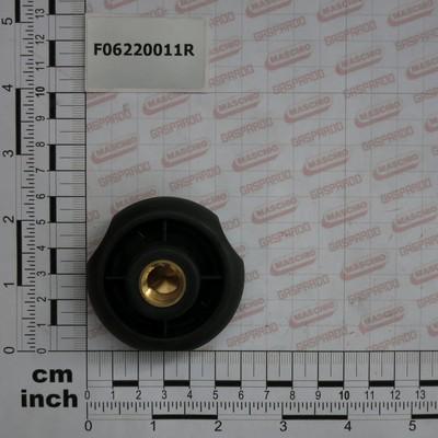 GPF06220011R