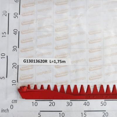 GPG13013620R