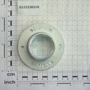 DISC BEARING SUPPORT - GASPARDO - G15223651R - Image 1