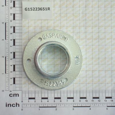 GPG15223651R
