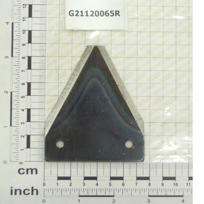 GPG21120065R