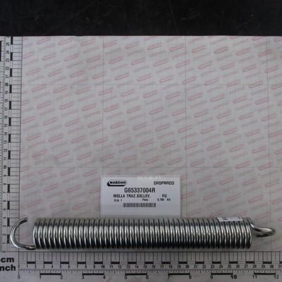 GPG65337004R