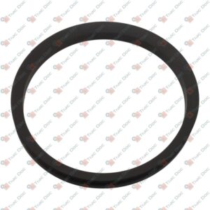 SEALING RING - LANDINI - 3015043X1 - Image 1