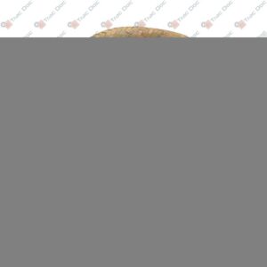 VALPADANA HAT - LANDINI - 6513660M1 - Image 1