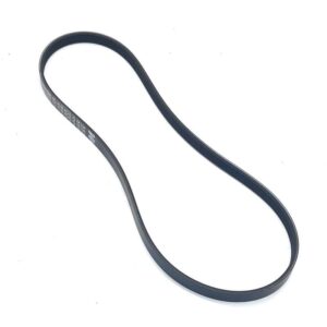 CINGHIA POLY - V - LANDINI - 6619110A1 - Image 1
