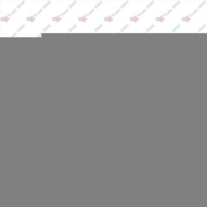 CINGHIA POLY-V COMPRESSORE ARIA CONDIZIONATA - LANDINI - 6619115A2 - immagine 1