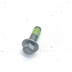 SPECIAL SCREW - LANDINI - 6677703A1 - Image 1